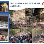 Saleswaram Jathara