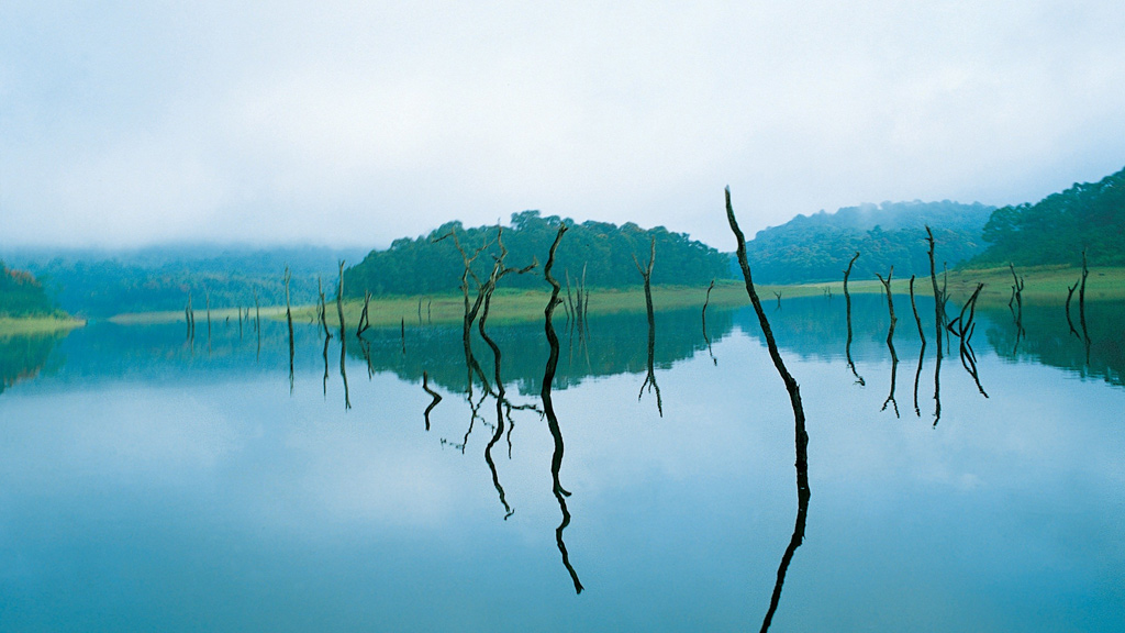 Thekkady Wildlife Sanctuary