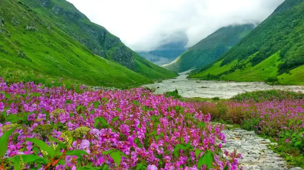 Valley of Flowers Uttarakhand