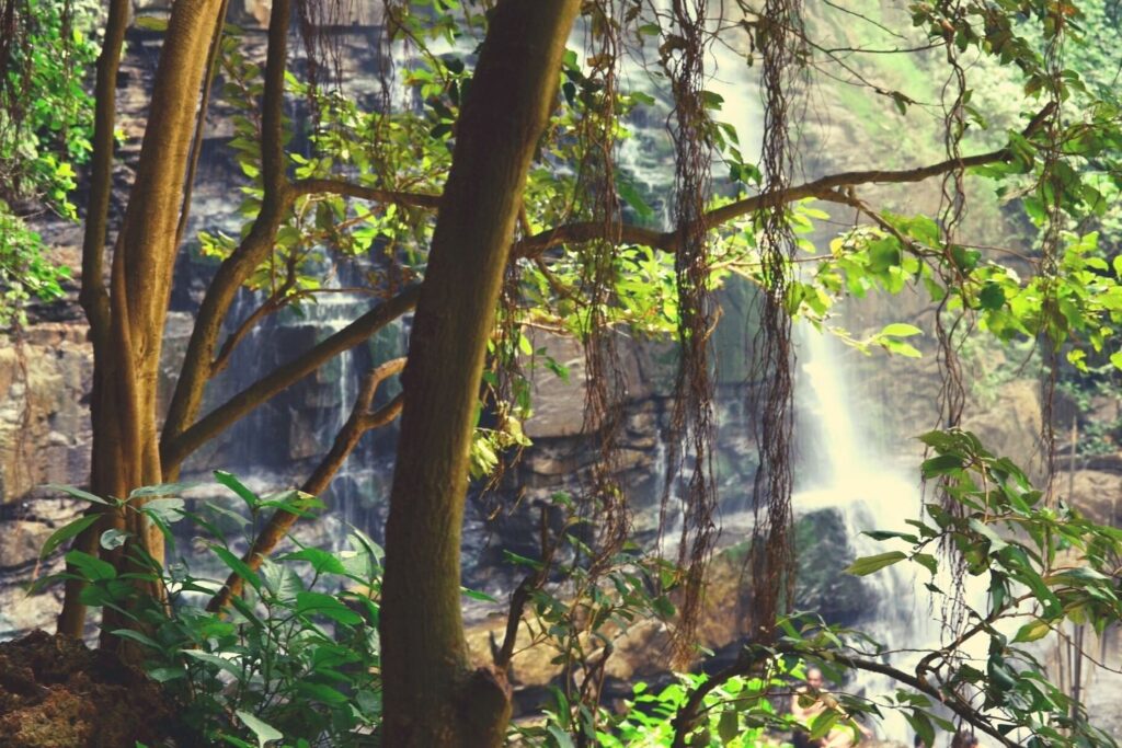 Mallela Theertham Waterfalls